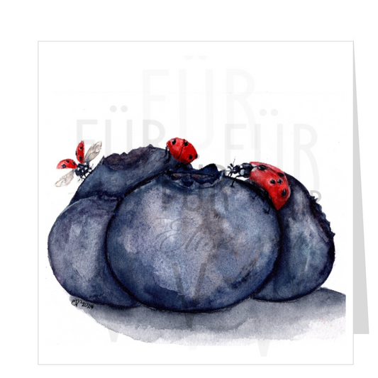 LADYBUGS & BLUEBERRIES