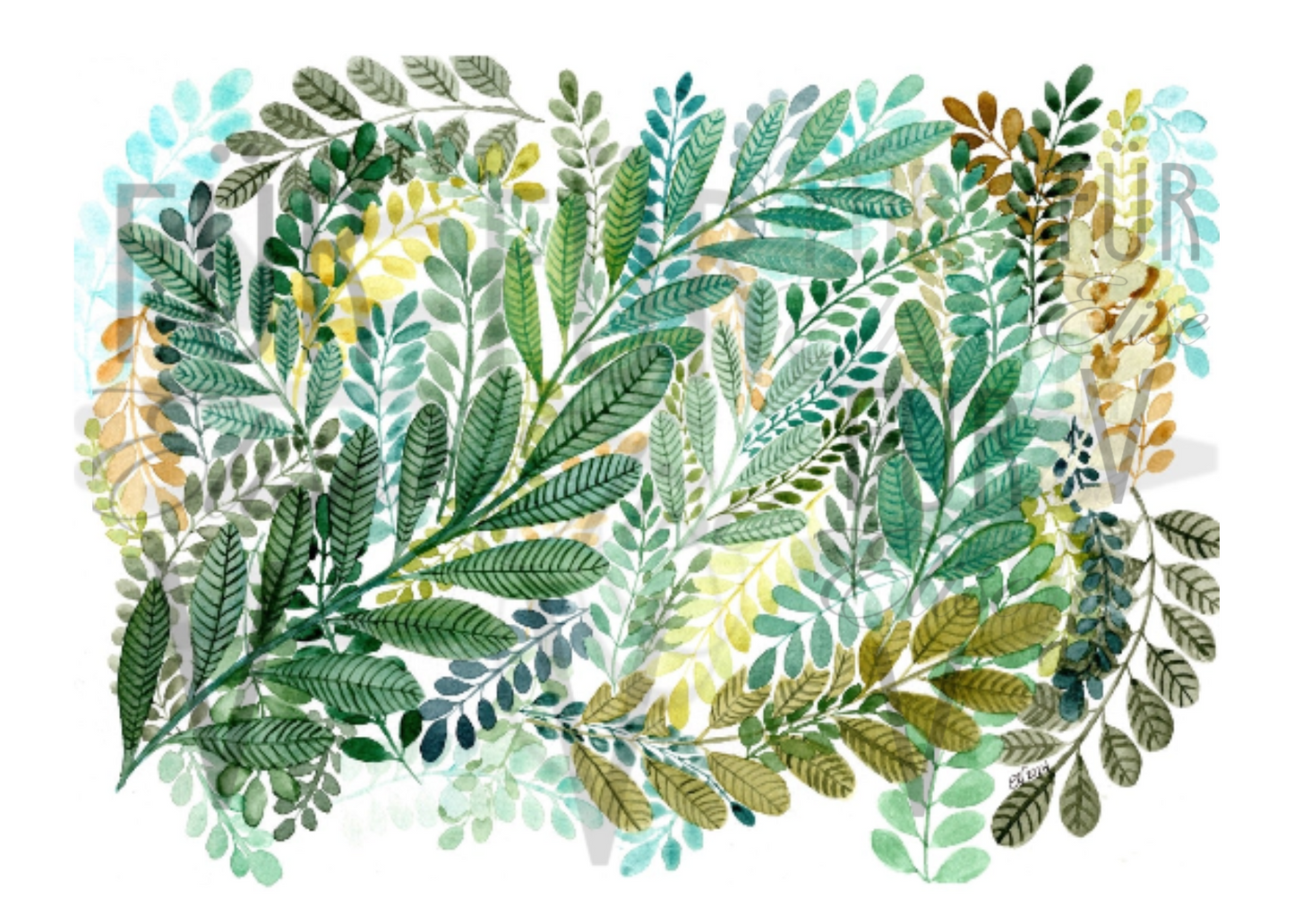 BOTANICALS