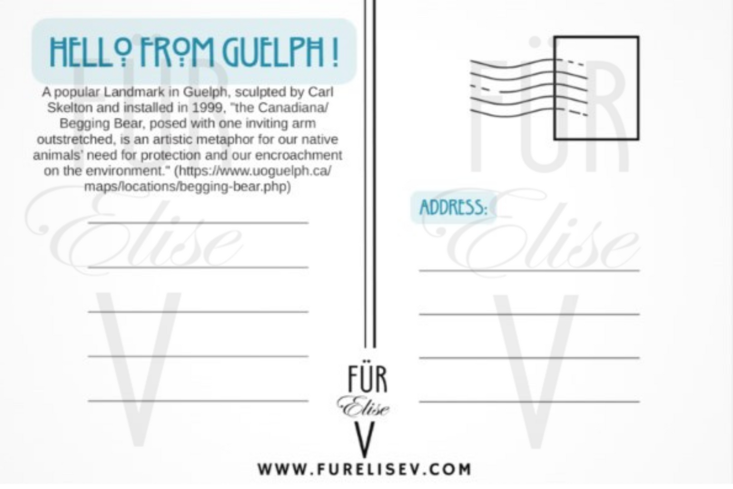 GUELPH BEGGING BEAR ~ POSTCARD