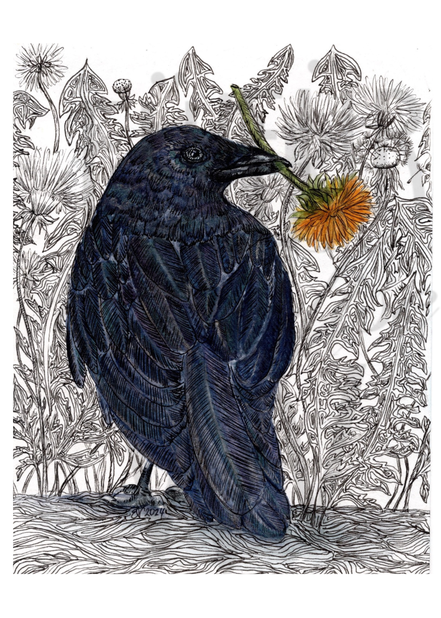 DANDELION RAVEN