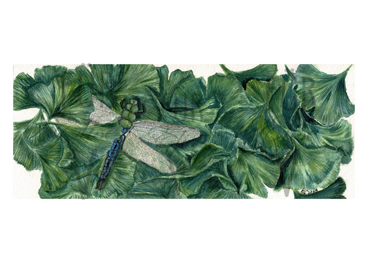 DRAGONFLY ON GINKGO