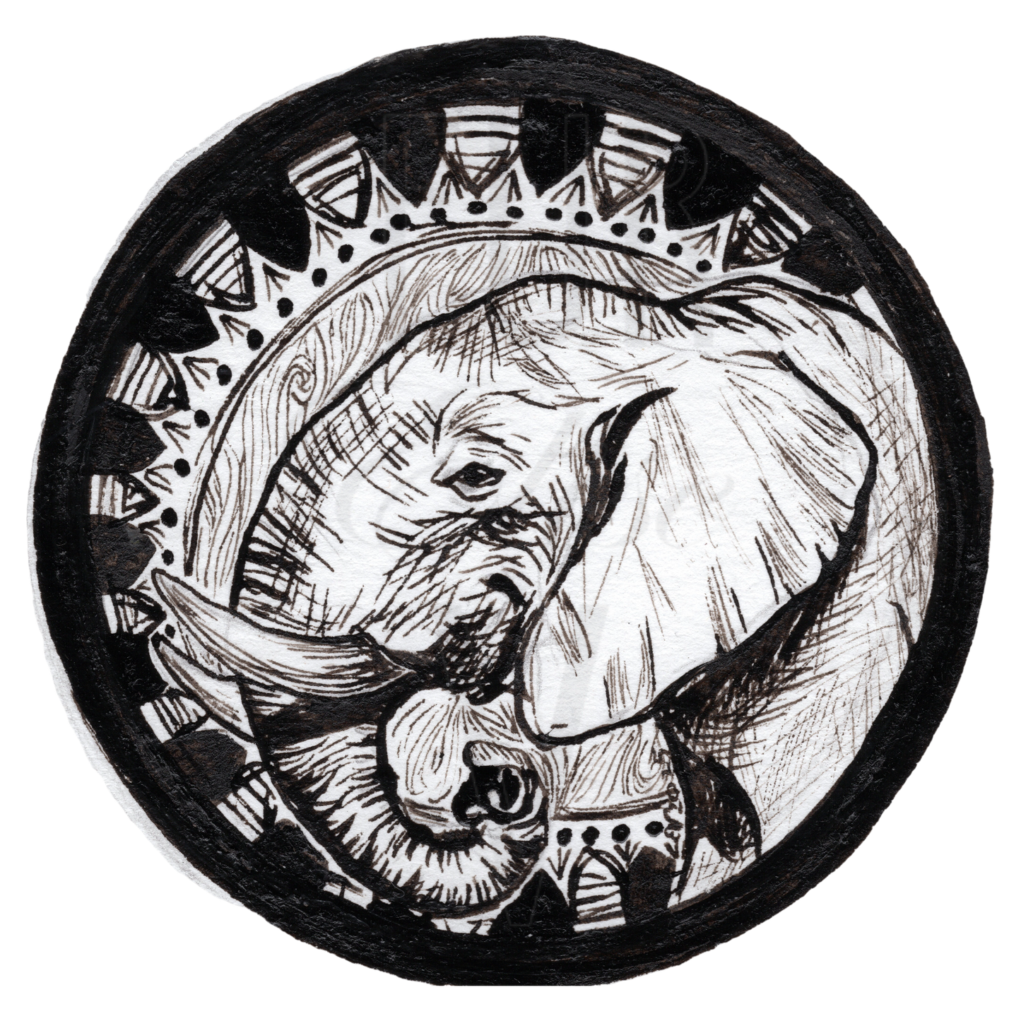 ELEPHANT PROFILE