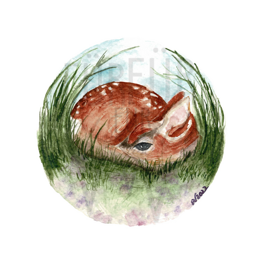 FAWN IN GRASS