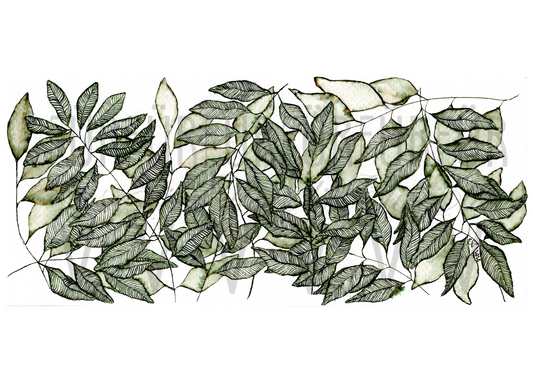 FINE LINE INK LEAVES I