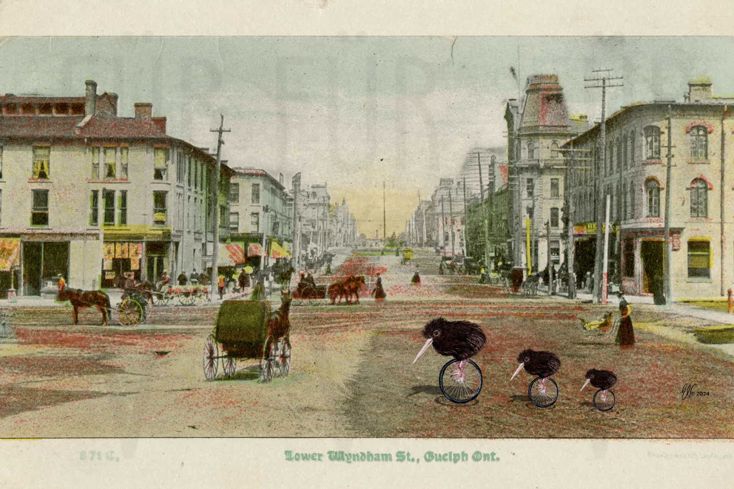 LOWER WYNDHAM KIWIS ~ POSTCARD