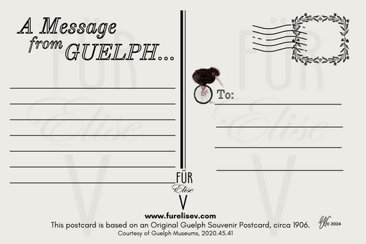 LOWER WYNDHAM KIWIS ~ POSTCARD