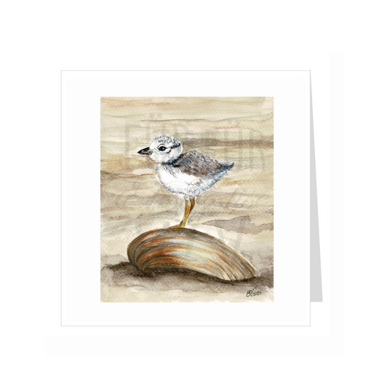 SAND PIPER SHELL