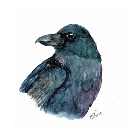 PORTRAIT OF A CROW