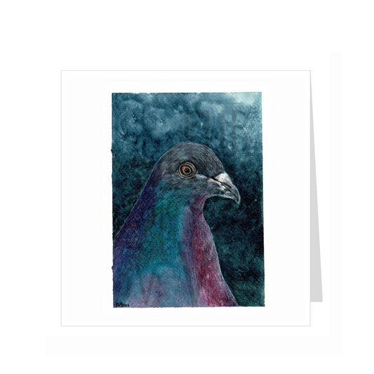 PORTRAIT OF A PIGEON