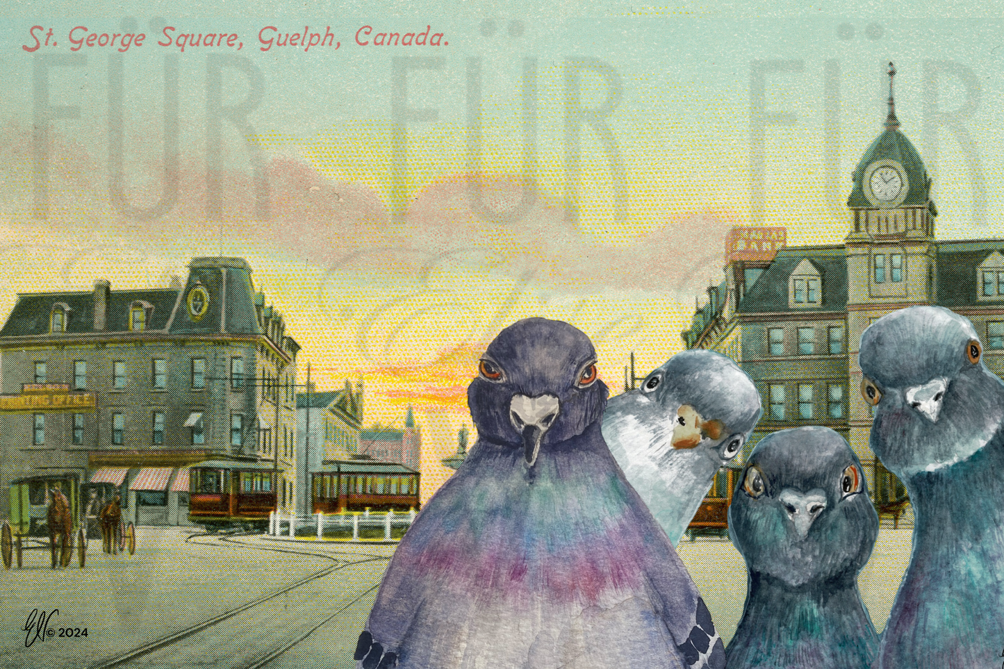 PIGEONS OF ST. GEORGE'S SQUARE ~ POSTCARD