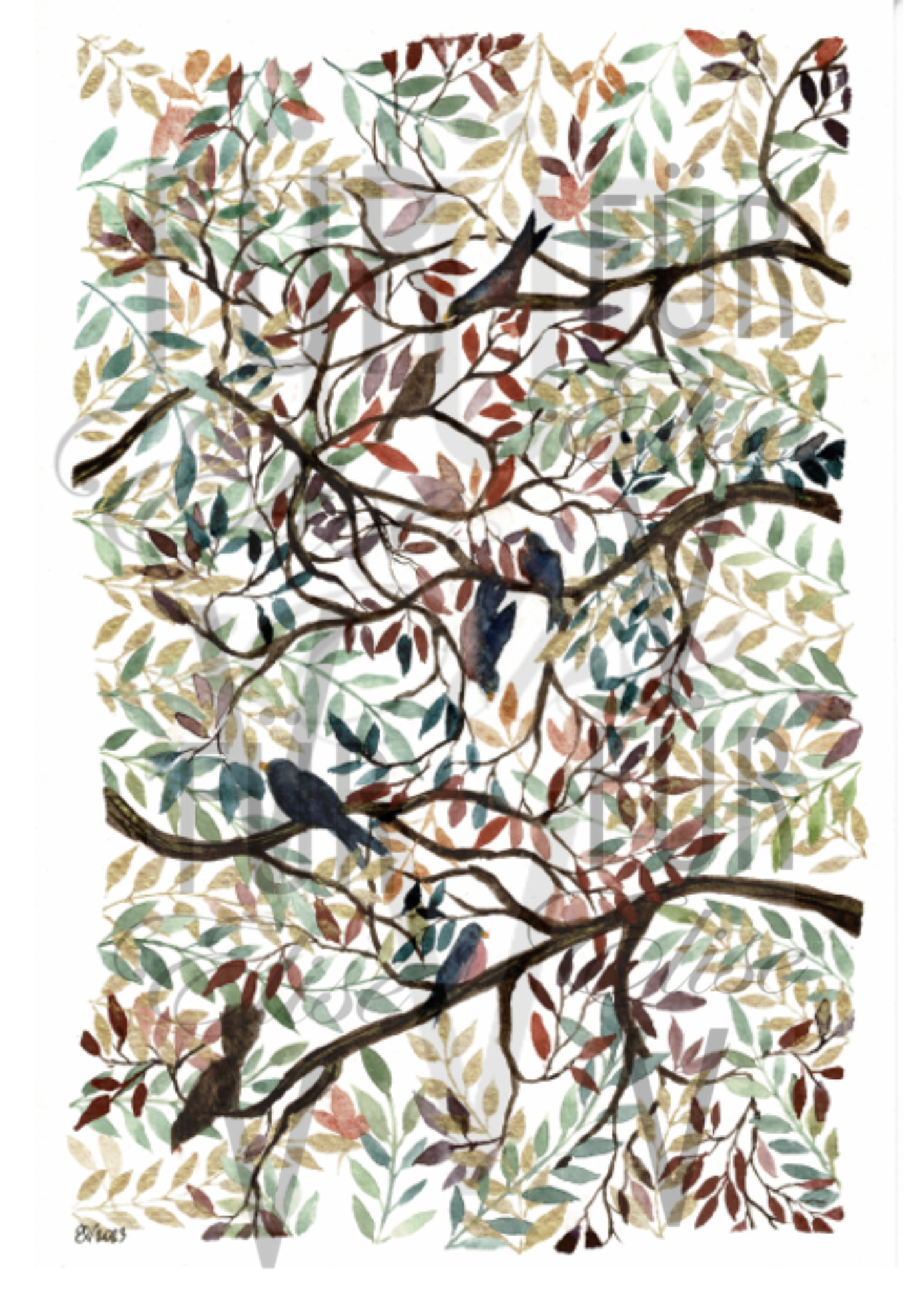 ROBINS IN FALL