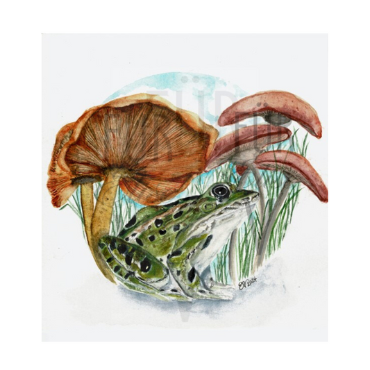 SHELTERED LEOPARD FROG