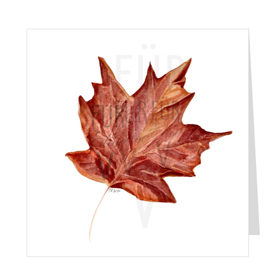 SINGLE MAPLE LEAF