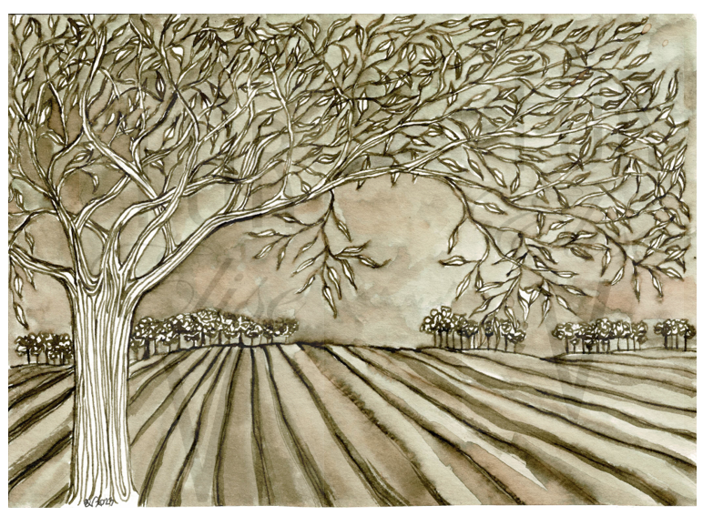 SEPIA FIELD IN INK