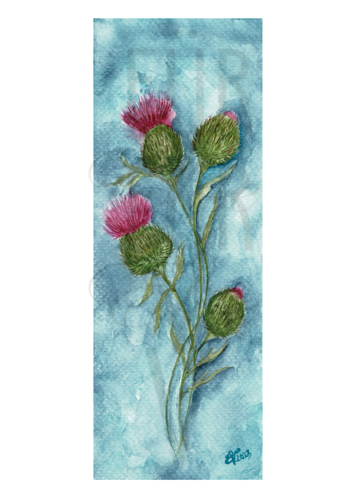 THISTLES