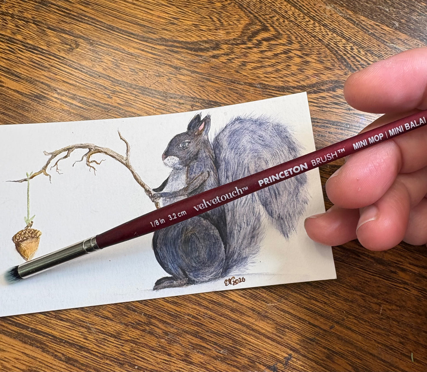 CATCHING ACORNS