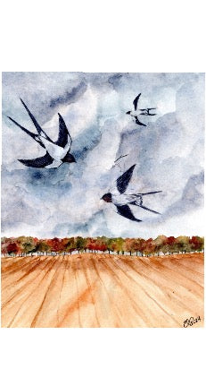 SWALLOWS AFTER HARVEST