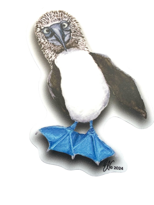 BLUE FOOTED BOOBY STICKER