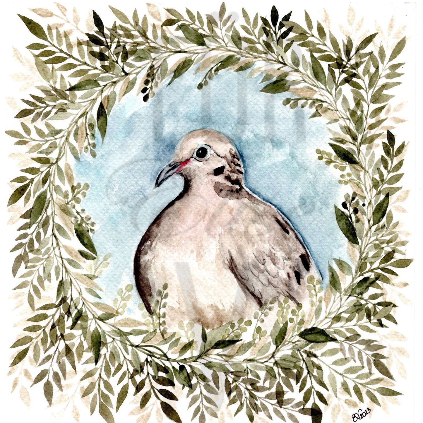 MOURNING DOVE