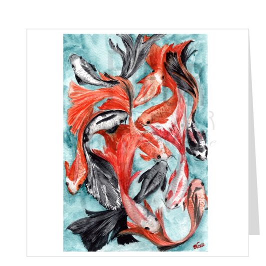 A COLLECTION OF KOI