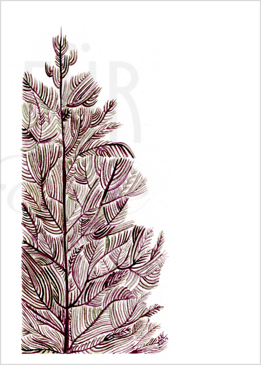 ABSTRACT STEMS II