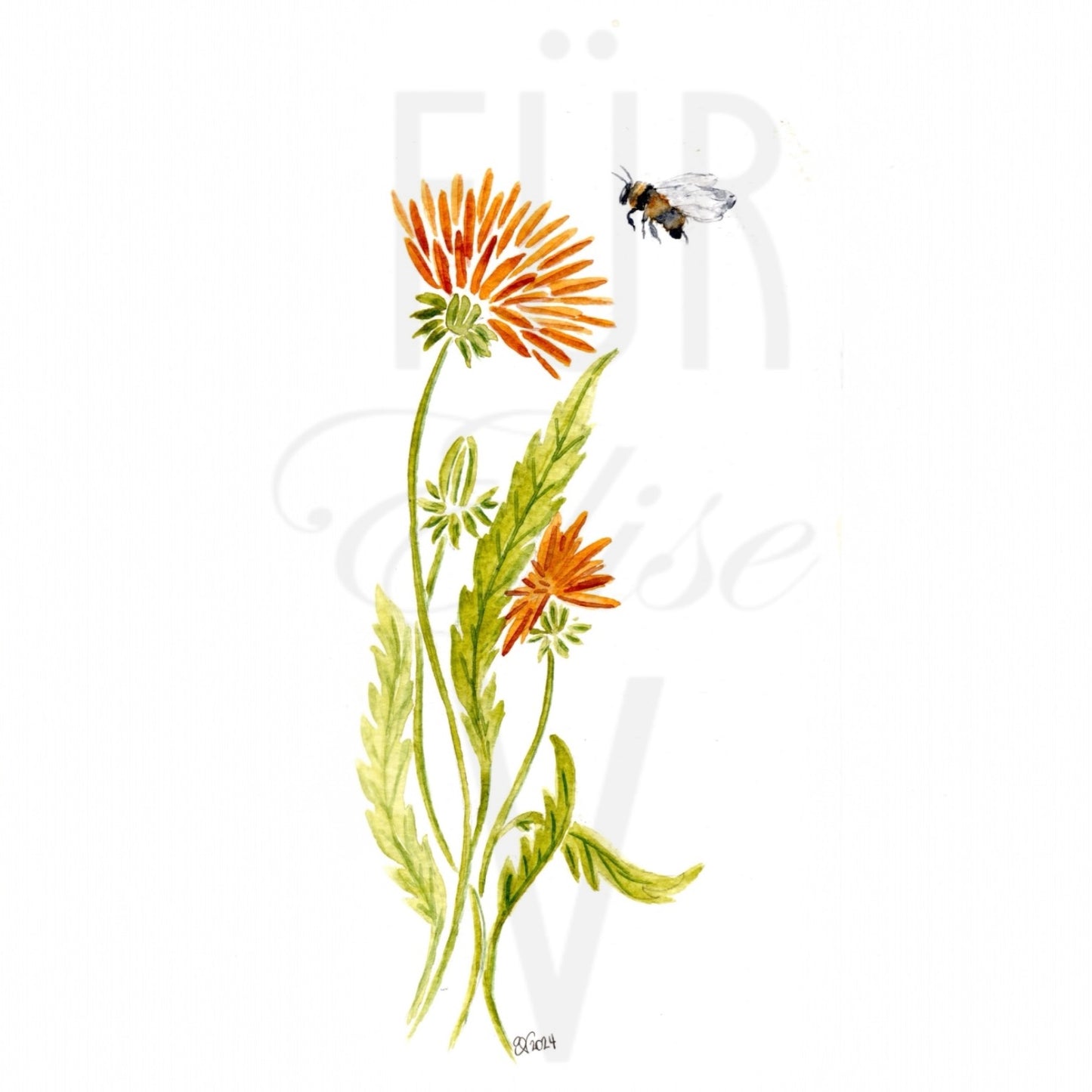 DANDELION BUMBLEBEE