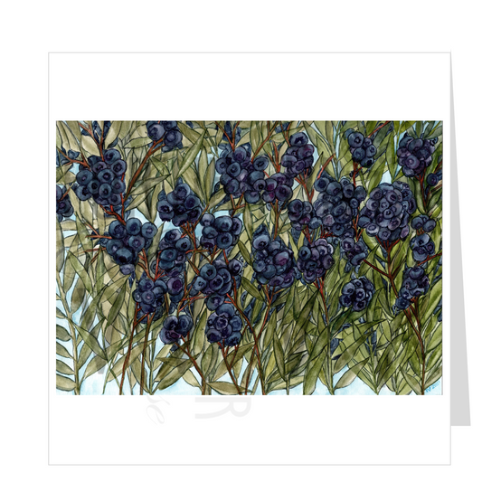 BLUEBERRIES