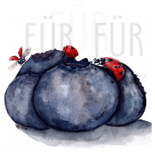 LADYBUGS & BLUEBERRIES