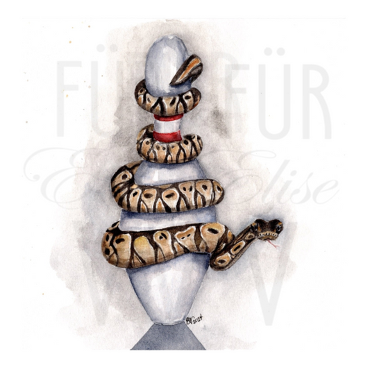 BOWLING BALL PYTHON