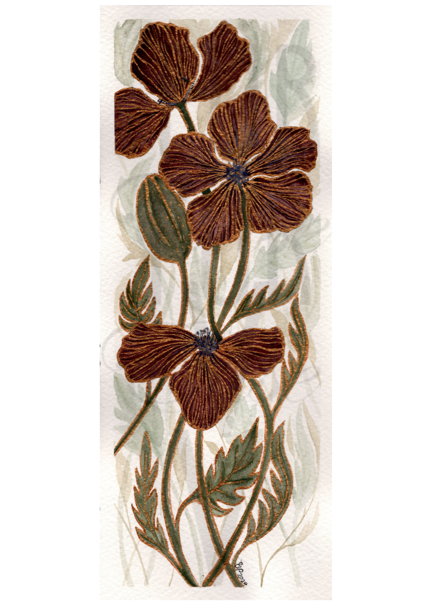 BURGUNDY GOLD POPPIES