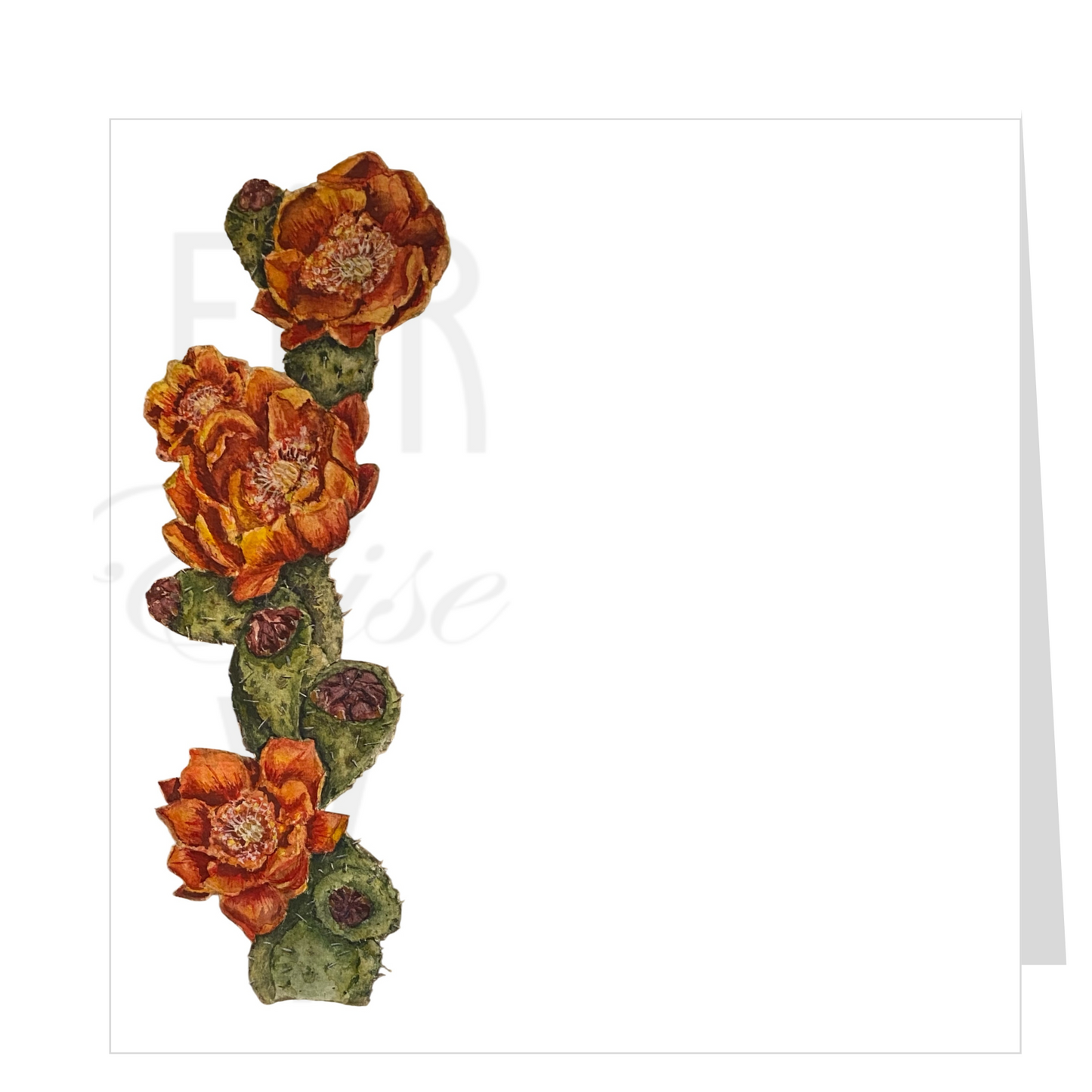 CACTUS FLORAL