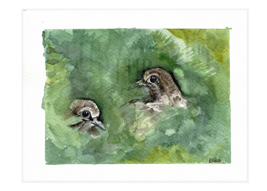 CAMOUFLAGED DOVES