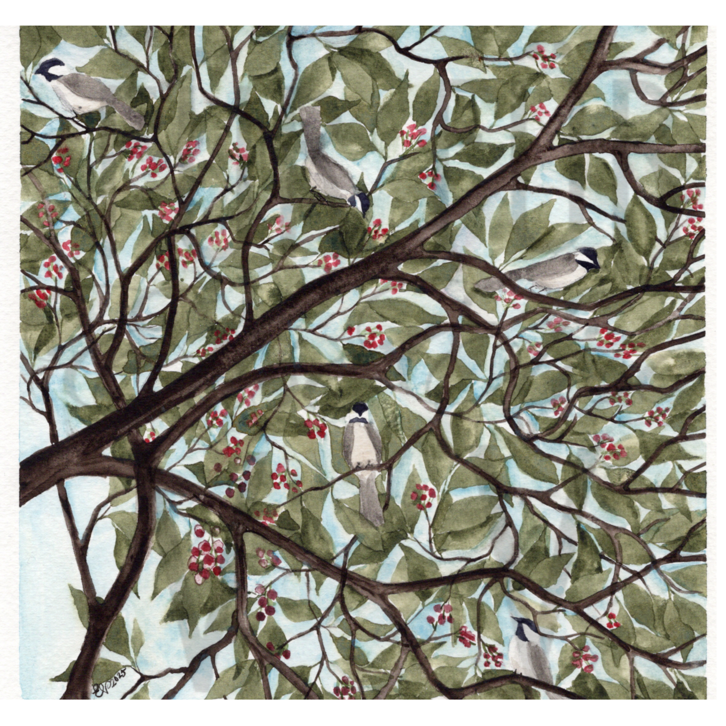 CHICKADEE TREE