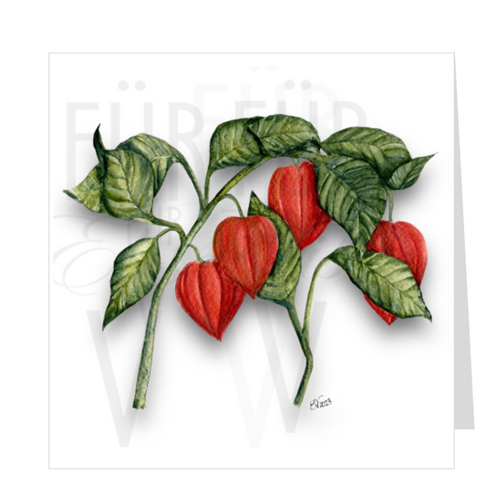 CHINESE LANTERNS I