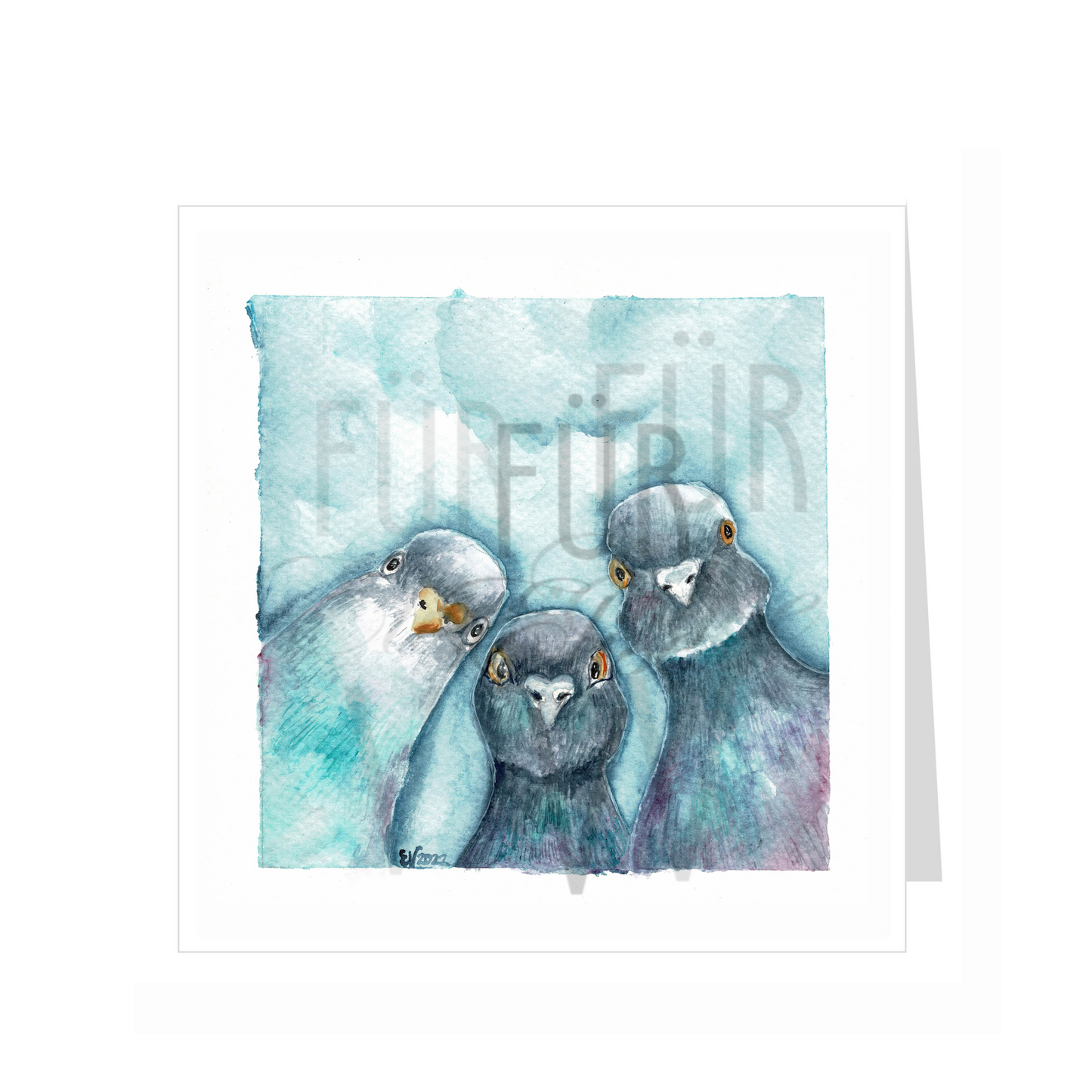 THE CURIOUS TRIO OF PIGEONS