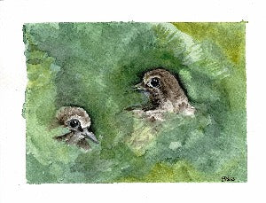 Two soulmate doves perched among the leaves. Original photograph taken by my father. Original watercolor by Elise van den Berg of Fur Elise V