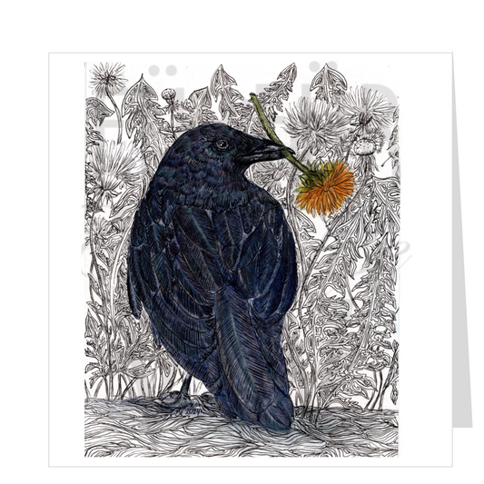 DANDELION CROW