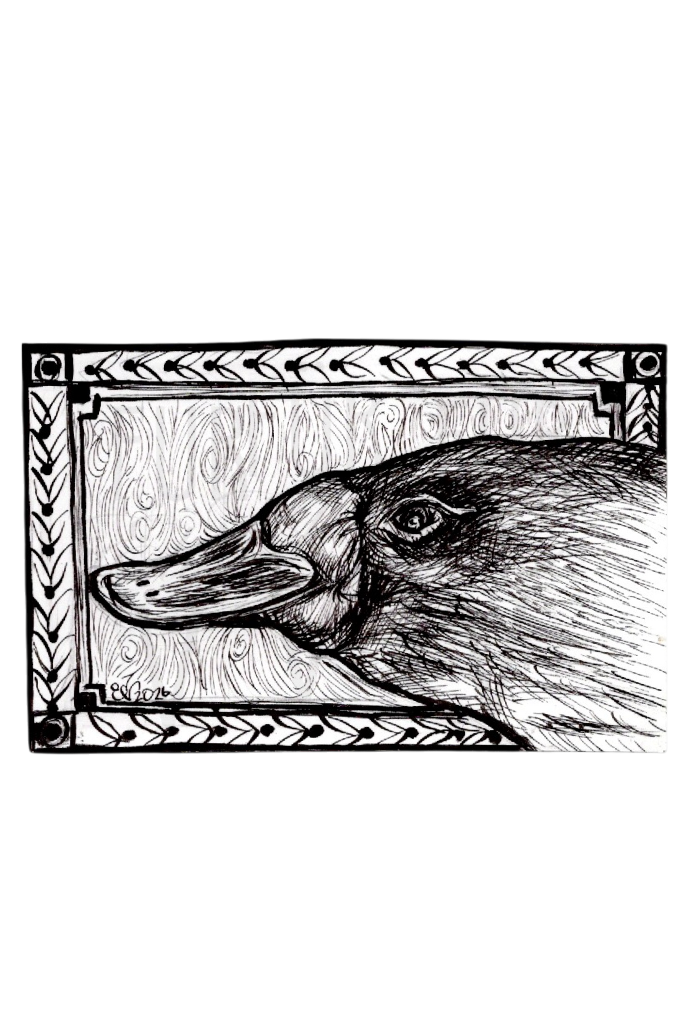 PLATYPUS PROFILE
