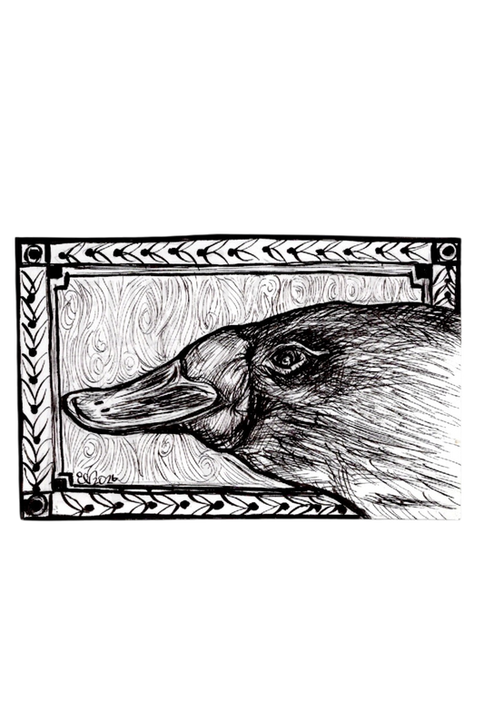 PLATYPUS PROFILE - Für Elise V
