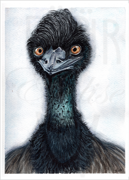 EMU