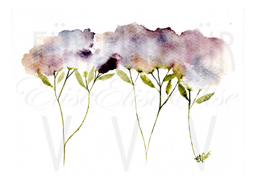 FADED FLOWERS