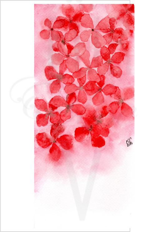 FADED RED-PINK CASCADE