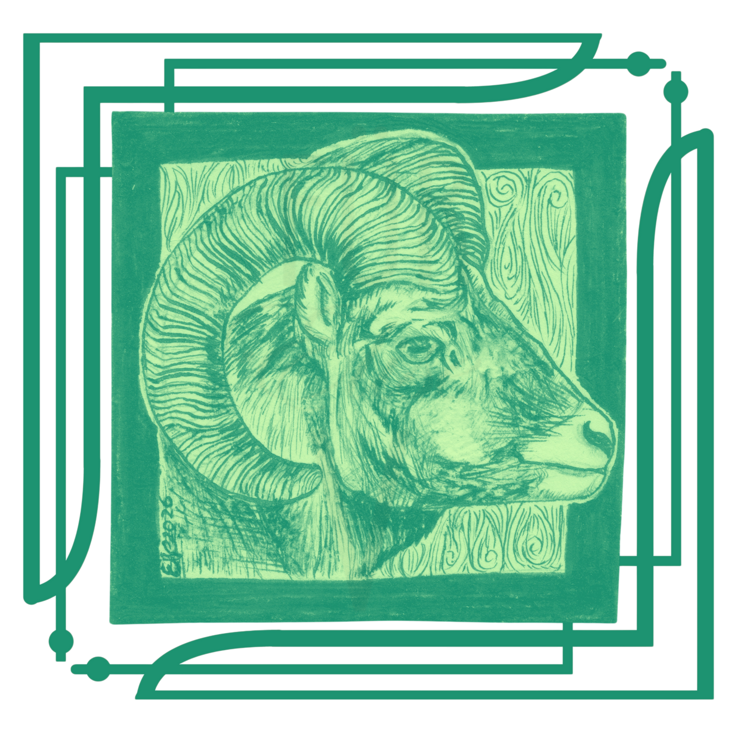 FANCY RAM PROFILE