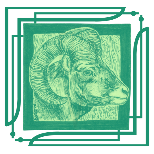 FANCY RAM PROFILE