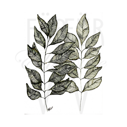 FINE LINE INK LEAVES II