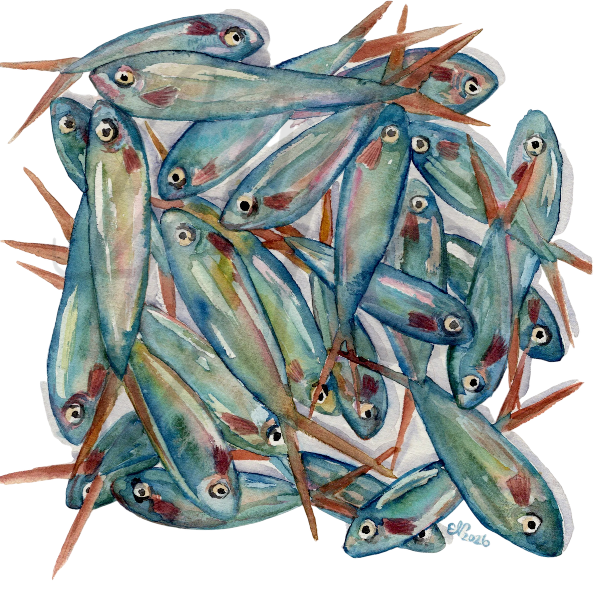 FISHY