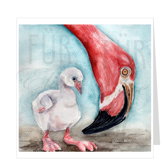FLAMINGOS