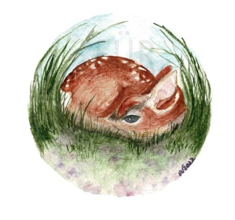 FAWN IN GRASS