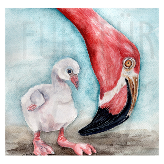 FLAMINGOS