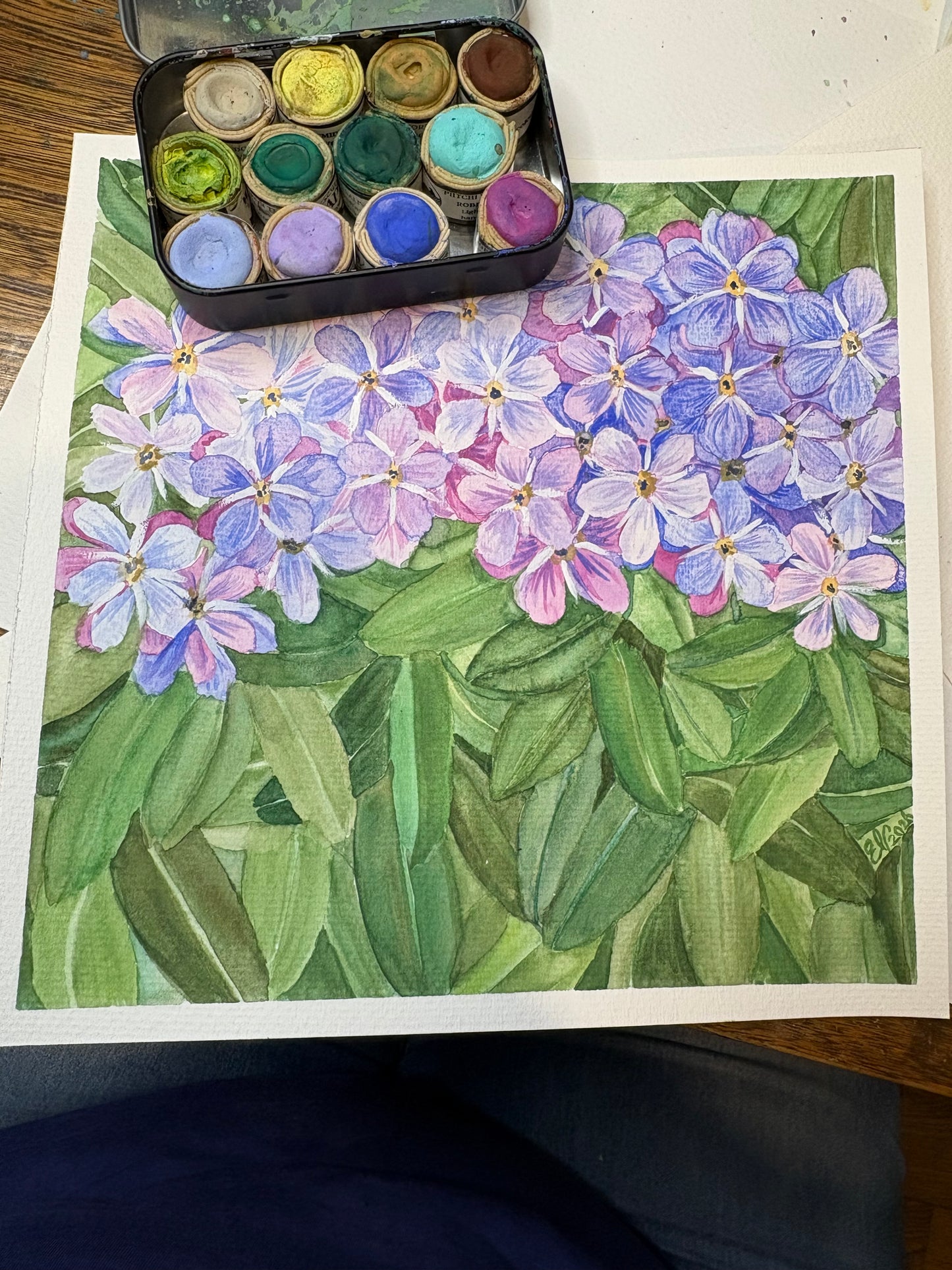 Cluster of Forget me not pastel flowers 